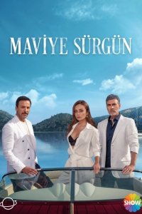  Голубая клетка  постер