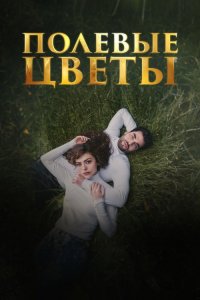  Дикие цветы  постер