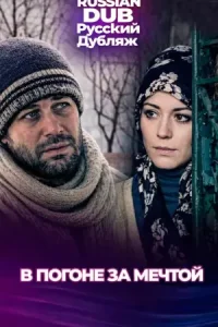  В погоне за мечтой  постер